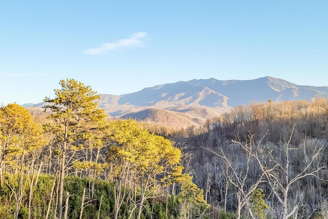 Vila 3 Lazy Bears Chalet Gatlinburg Exteriér fotografie